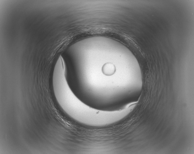 X0000060780501200512011643
