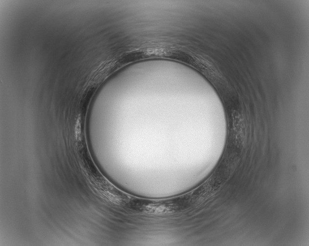 X0000060780502200512011643