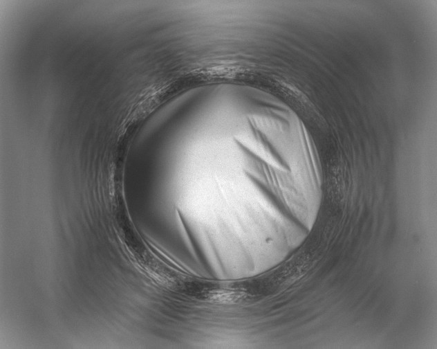 X0000060780504200512011643