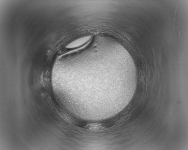 X0000060780507200512011642