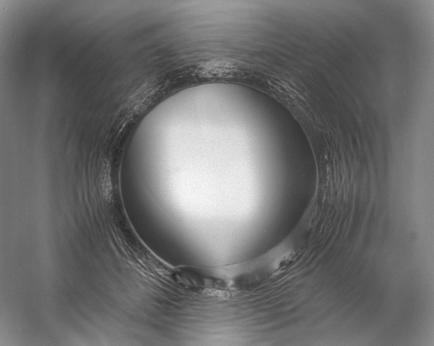 X0000060780508200512011642