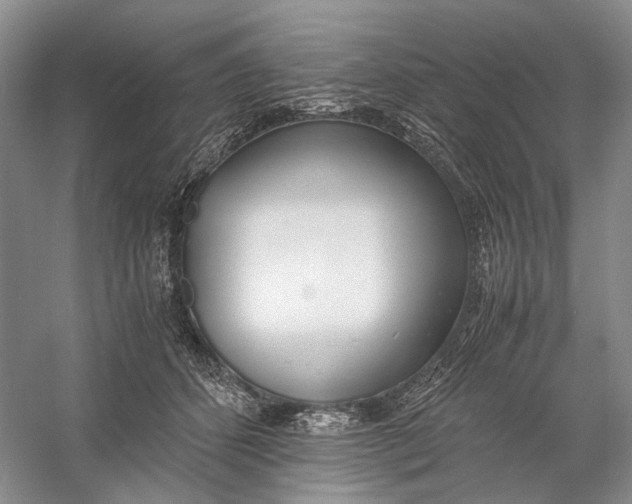 X0000060780512200512011642