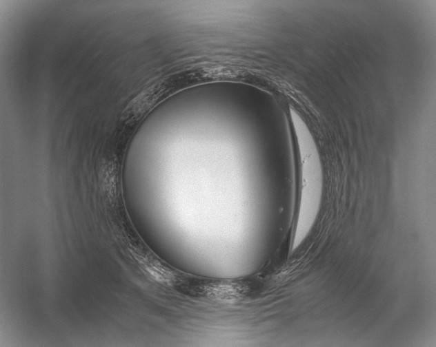 X0000060780513200512011642