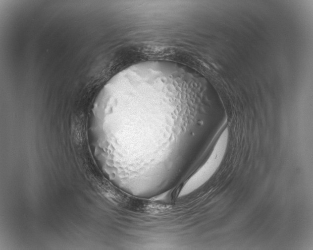 X0000060780515200512011642