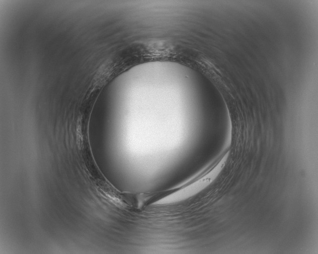 X0000060780516200512011642