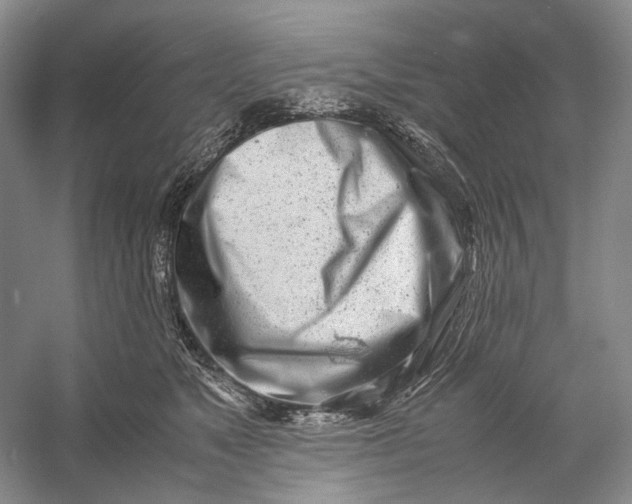 X0000060780517200512011642