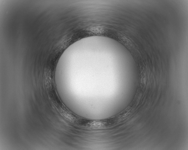 X0000060780518200512011642