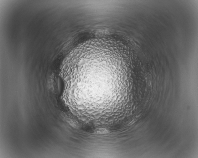 X0000060780519200512011642