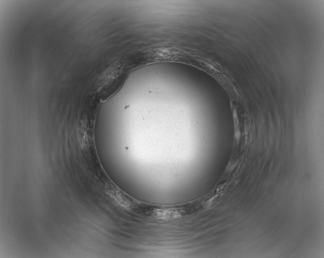 X0000060780520200512011642