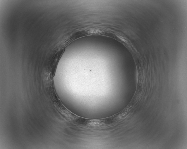 X0000060780521200512011642