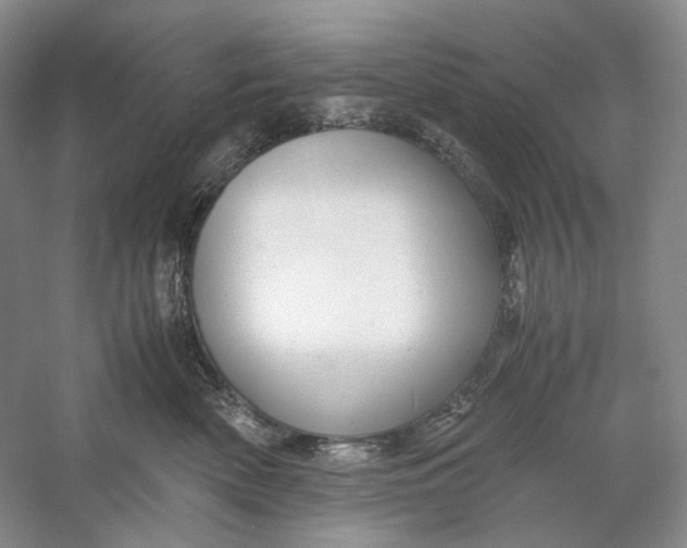 X0000060780522200512011642
