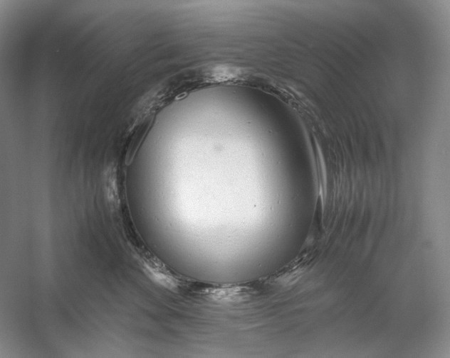 X0000060780524200512011642
