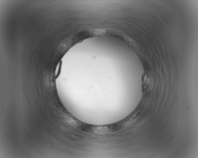 X0000060780525200512011642