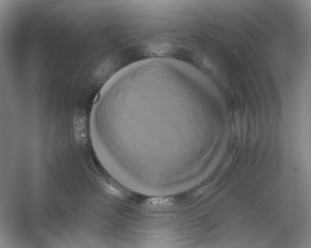 X0000060780526200512011642