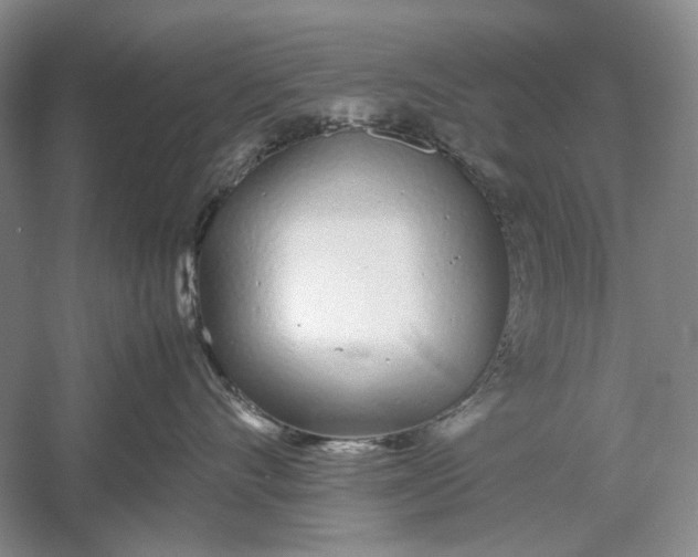 X0000060780528200512011642
