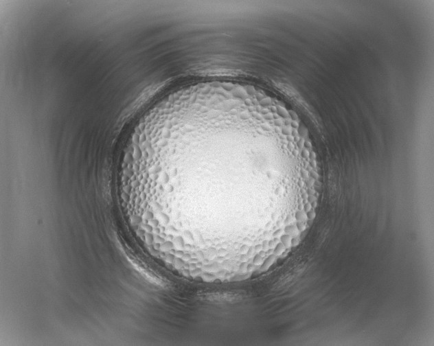 X0000060780533200512011641