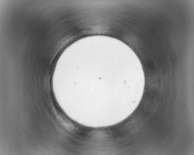 X0000060780534200512011641
