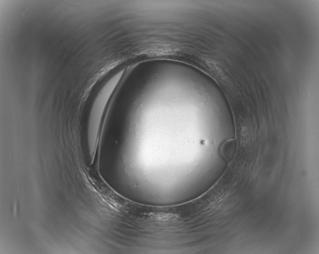 X0000060780539200512011641