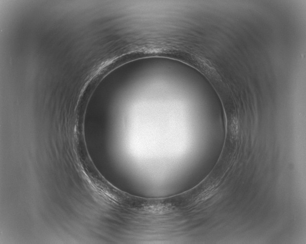 X0000060780540200512011641