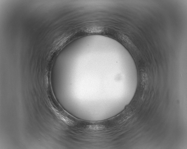 X0000060780541200512011641