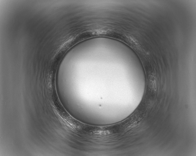 X0000060780543200512011642