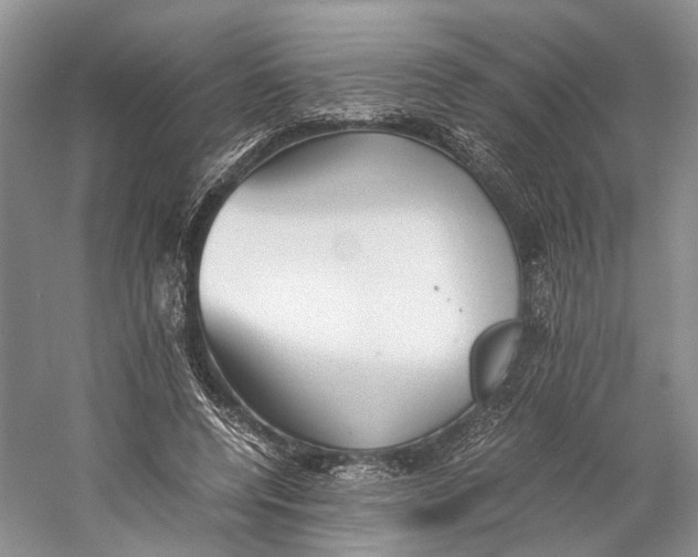 X0000060780544200512011642