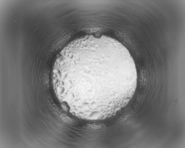 X0000060780545200512011642