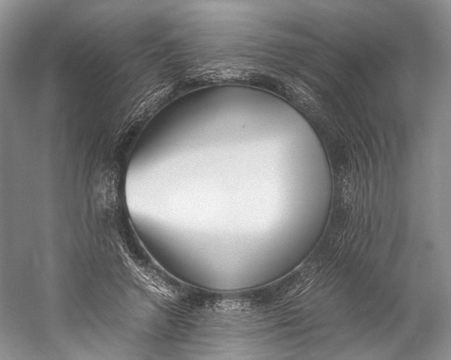 X0000060780546200512011642