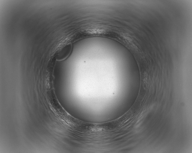 X0000060780547200512011642