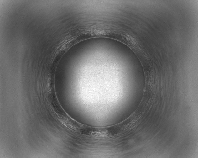 X0000060780548200512011642
