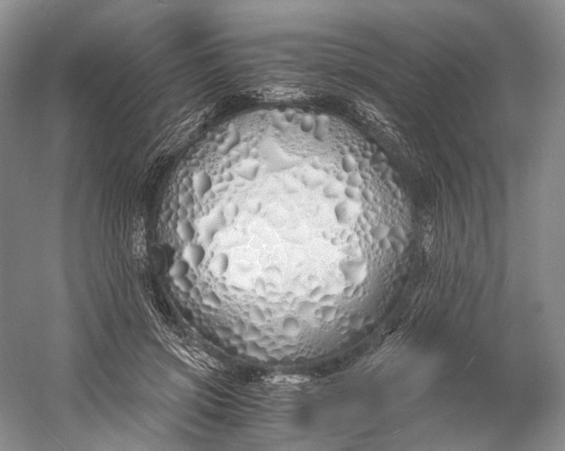 X0000060780549200512011642