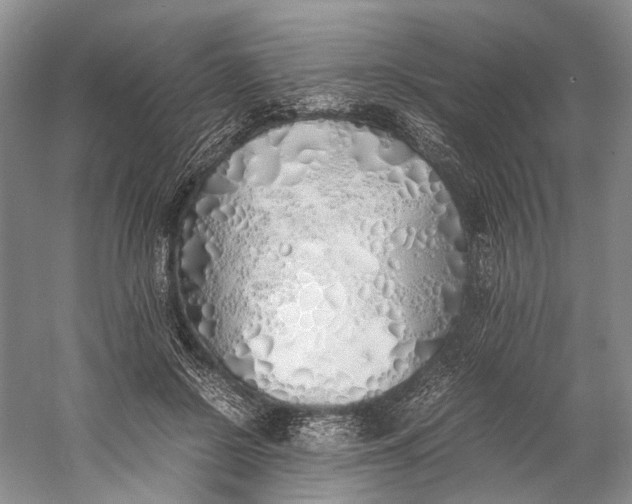 X0000060780550200512011642