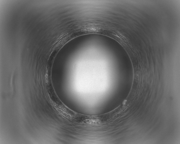 X0000060780552200512011642