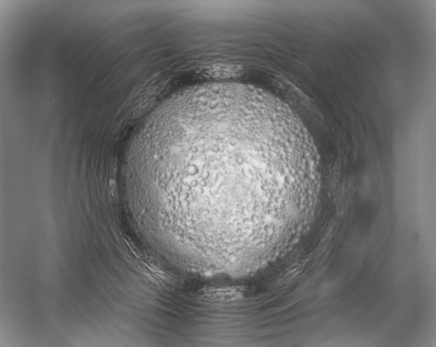 X0000060780553200512011642