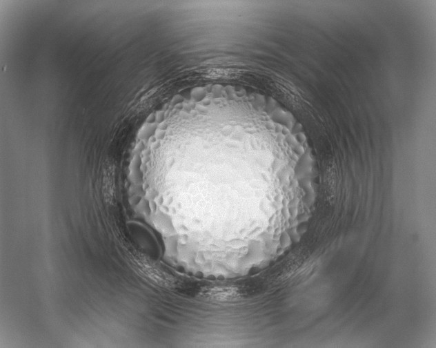 X0000060780554200512011642