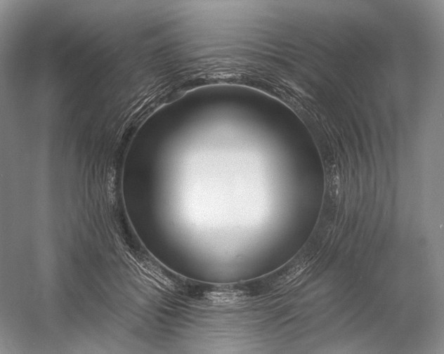X0000060780556200512011642