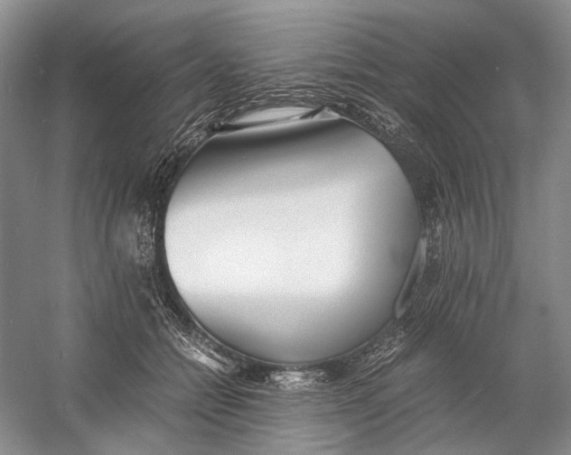 X0000060780558200512011642