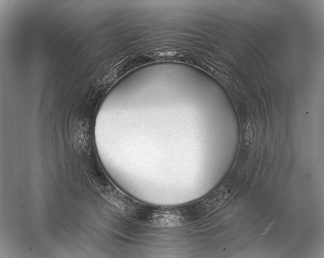 X0000060780559200512011642