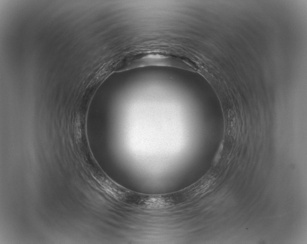 X0000060780562200512011642