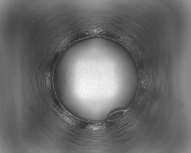 X0000060780563200512011642