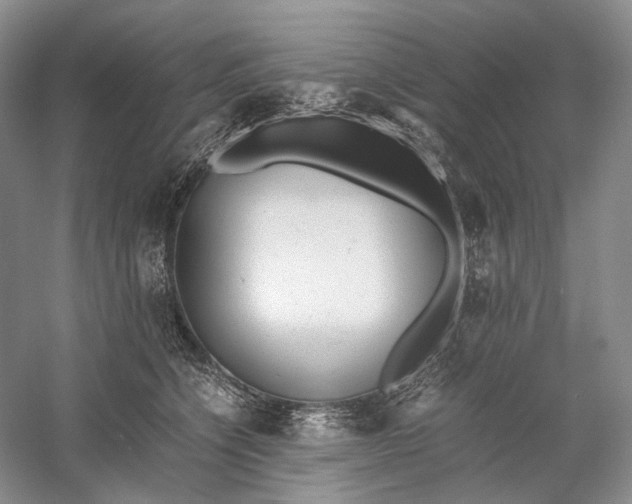X0000060780564200512011642