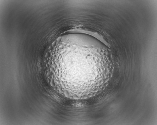 X0000060780565200512011642