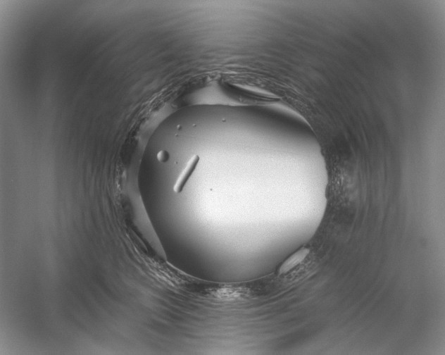 X0000060780566200512011642