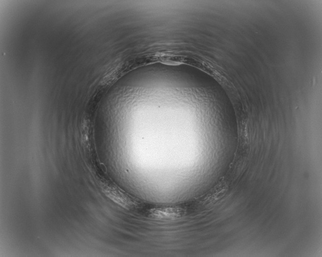 X0000060780567200512011642
