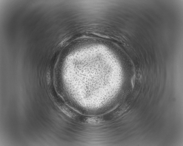 X0000060780568200512011642