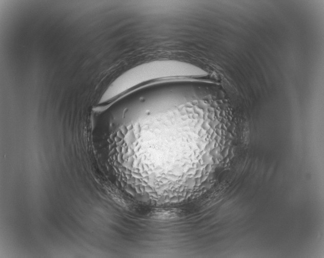 X0000060780569200512011642