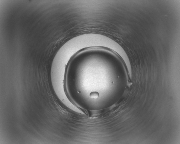 X0000060780570200512011642