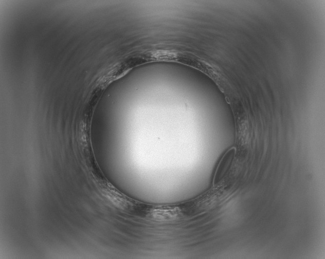 X0000060780571200512011642