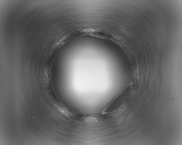 X0000060780572200512011642