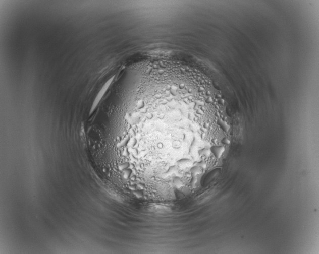 X0000060780573200512011642